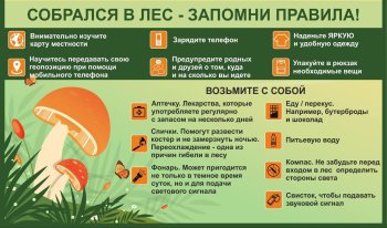 Правила поведения в лесу