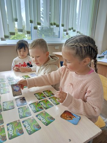 Пришкольная площадка "Краски лета"
