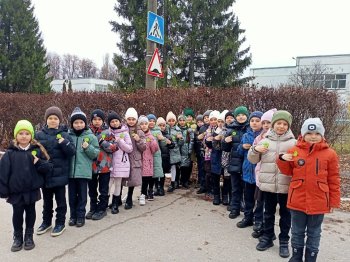 Акция "Засветись"